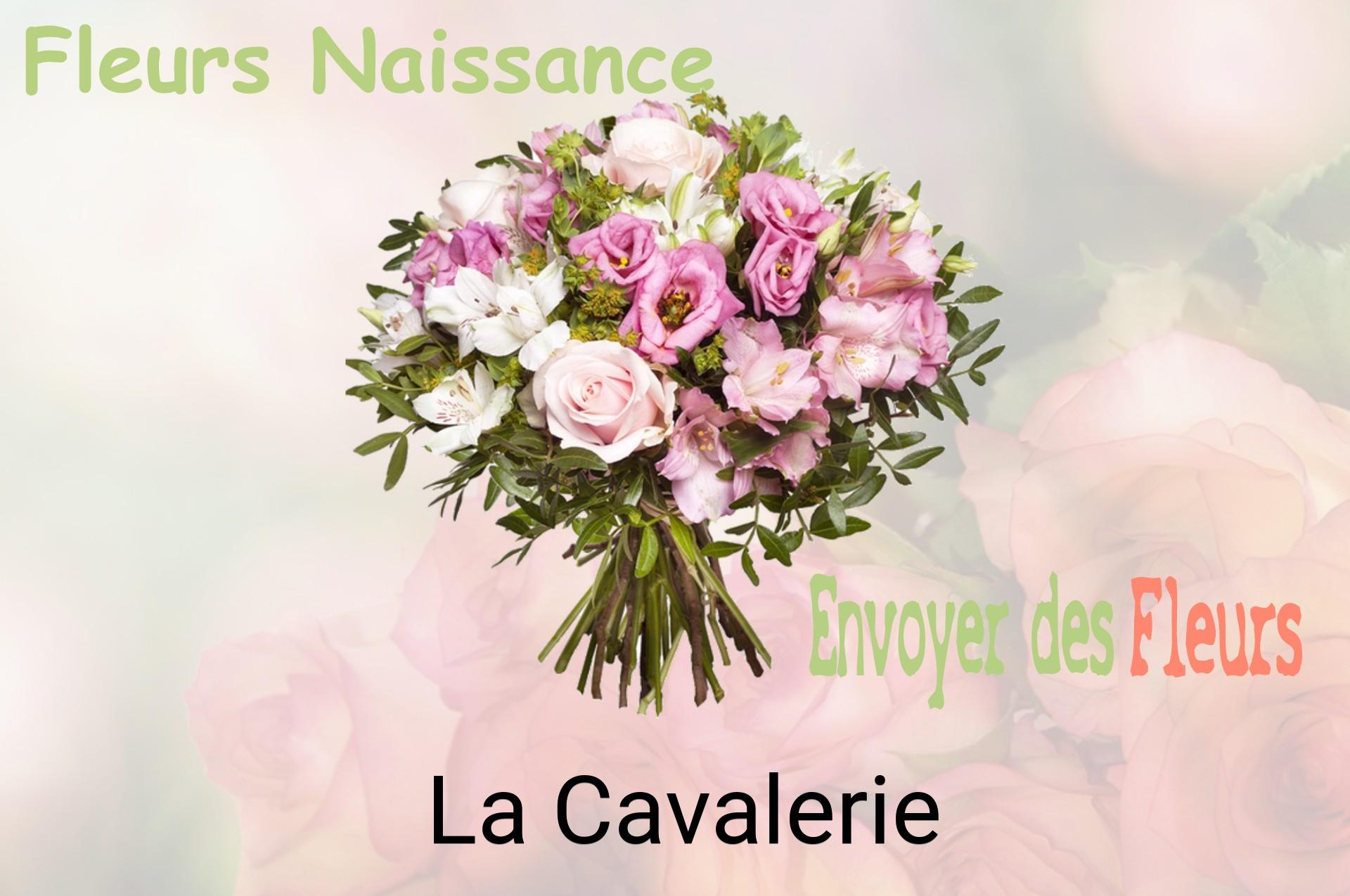 Bouquet de fleurs de naissance livré à La Cavalerie
